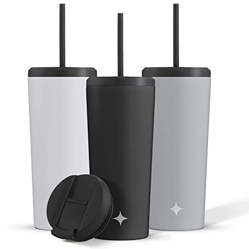 Triple Insulated 20oz Tumbler with Lid and Straw (2 Each) Vacuum Double Wall Stainless