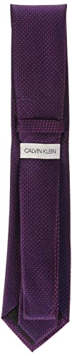 Calvin Klein Men's Steel Micro Solid A Tie, Berry, Regular