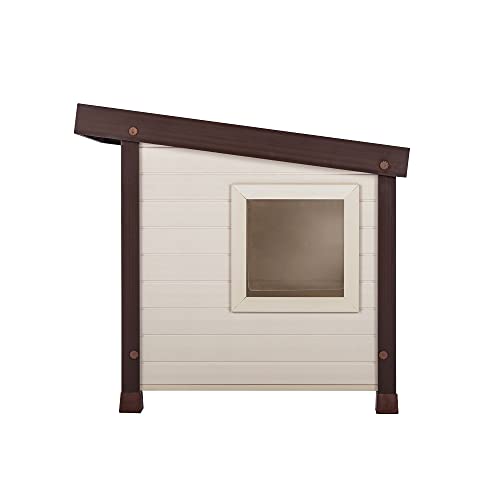 Albany Outdoor Feral Cat House, Multicolor