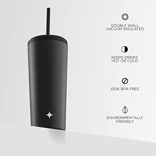 Triple Insulated 20oz Tumbler with Lid and Straw (2 Each) Vacuum Double Wall Stainless