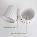 Flower Pots,6 Inch Succulent Pots with Drinage,Indoor Round Planter Pots with Saucer