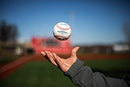 Official 2022 Major League Baseball | Display Case Included | MLB | ROMLB-R