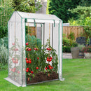 Walk-in Garden Greenhouse Warm House for Plant Growing