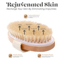 Dry Skin Body Brush - Improves Skin's Health and Beauty - Natural Bristle
