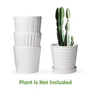 Flower Pots,6 Inch Succulent Pots with Drinage,Indoor Round Planter Pots with Saucer