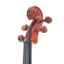 Cecilio CVN-200 Solidwood Violin with D'Addario Prelude Strings, Size 4/4 (Full Size)