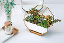 7" White Ceramic Wall Planters Vase and Copper,Drainage Hole with Bamboo Tray
