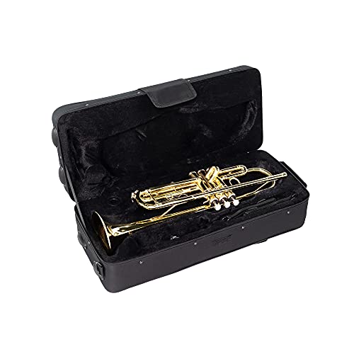 Trumpet Standard Bb Brass Instruments Student Trumpet with Case
