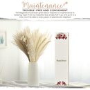 Natural Dried Pampas Grass - 85 Stems Dried Flowers Arrangements – Includes 17 Inch White Pompous Grass, Bunny Tails, Natural Reed Grass – Boho Home Decor Ideal for Wedding Decoration