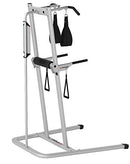 Bowflex BodyTower