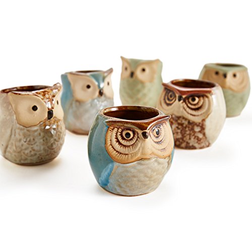 Owl Pot Ceramic Flowing Glaze Base Serial Set Succulent Plant Pot 6pcs