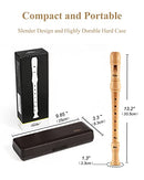 Soprano Beginners Recorder Baroque fingering C Key Maple Descant Recorder Instrument