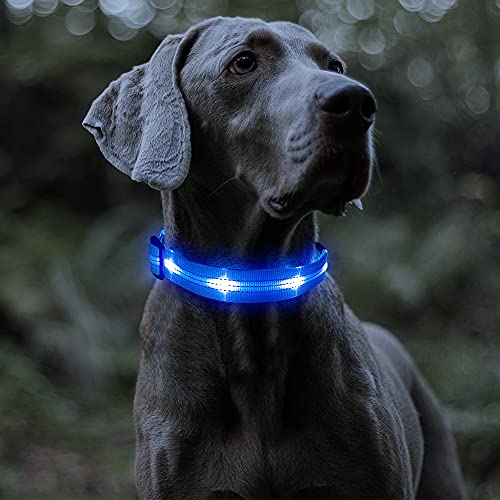 Flashseen LED Dog Collar USB Rechargeable with Adjustable Dog Collars