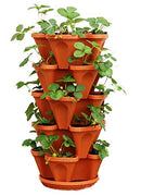 5-Tier Strawberry Planter Pot, 5 Pots