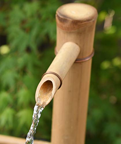 Bamboo Accents Water Fountain & Pump Kit - 12-inch Wide, Adjustable Branch Style