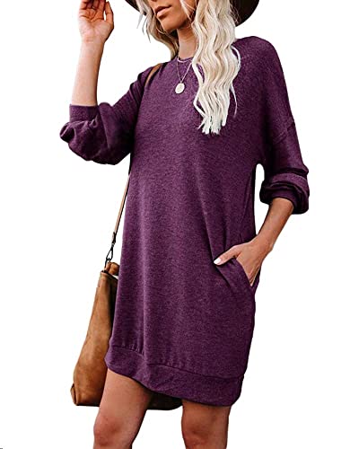 Women's Sweatshirt Dress Casual Solid Long Sleeve Dress