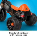 Harley-Davidson Tricycle with Handlebar Grips and Storage