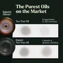 Essential Oils Set - Top 6 Organic Blends for Diffusers, Home Care, Candle Making