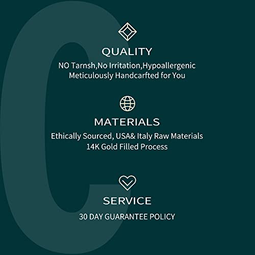 Layered Necklace for Women, Double Layer Snake Chain Necklace 14k Gold Plated Layering