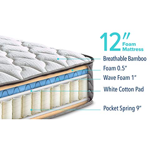 12" Inch Certified Independently & Individually Wrapped Spring Contour Mattress