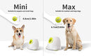 Dog Automatic Ball Launcher, Dog Tennis Ball Throwing Machine, 3 Balls Included