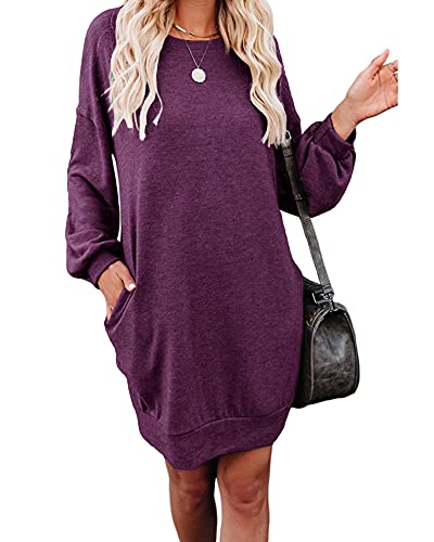 Women's Sweatshirt Dress Casual Solid Long Sleeve Dress