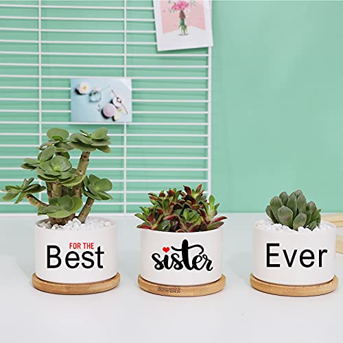 Sister Gifts from Sister Succulent Pots,Sister Gifts