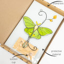 Green Luna Moth Butterfly Handmade Stained Glass Suncatcher