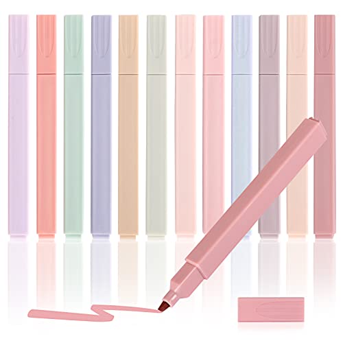 12pcs Highlighters Aesthetic Pastel Cute Highlighter, Bible Highlighters and Pens