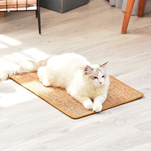 Cat Scratcher Mat, 23.6 X 15.7 Inch  Horizontal Cat Floor Scratching Pad Rug,