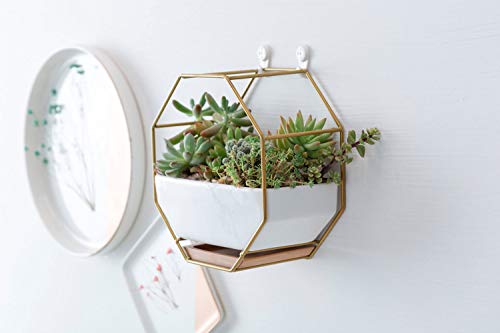 7" White Ceramic Wall Planters Vase and Copper,Drainage Hole with Bamboo Tray