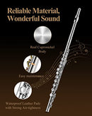 Closed Hole 16 Keys Flute for Beginner Kids Student Flute Instrument with Cleaning Kit