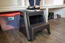 2-Step Molded Plastic Stool with Non-Slip Step Treads, 300-Pound Capacity