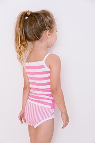 Girls Multi Stripe / Butterfly Print - Tagless Briefs Underwear