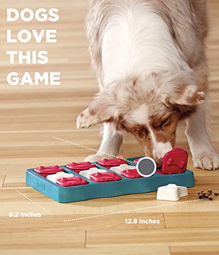 Dog Brick Interactive Treat Puzzle Dog Toy, Intermediate