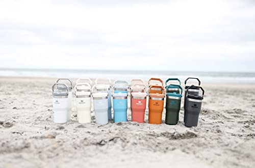 IceFlow Stainless Steel Tumbler with Straw - Vacuum Insulated Water Bottle for Home