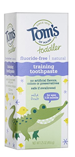 Tom's of Maine Fluoride-Free Toddler Training Toothpaste, Mild Fruit