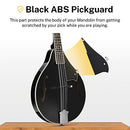 Acoustic Mandolin Musical Instrument Mahogany 8 String, Bundle With Tuner String Bag