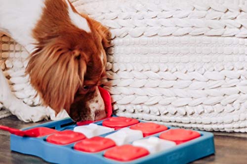 Dog Brick Interactive Treat Puzzle Dog Toy, Intermediate