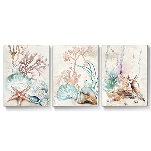 Wall Art Canvas Paintings Coastal Shell Starfish Coral Conch Picture Watercolor Art