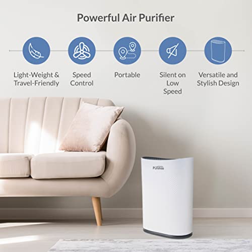 3-stage filtration air purifier with Elegant Old Fashion Control Buttons for 1700 Sq Ft