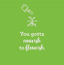 Amazing Grass Greens Trio: Greens Powder with Wheatgrass, Alfalfa, & Barley Grass