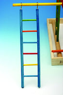 Perfect For Cockatiels, Conures, Parakeets/Budgies – Large Size (Multicolor)