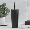 Triple Insulated 20oz Tumbler with Lid and Straw (2 Each) Vacuum Double Wall Stainless