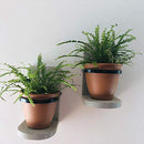 Hanging Wall Planter Wooden Hand Crafted Set of 2, Choice of Stain Color