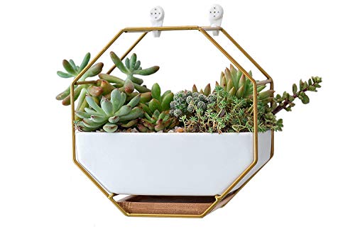 7" White Ceramic Wall Planters Vase and Copper,Drainage Hole with Bamboo Tray