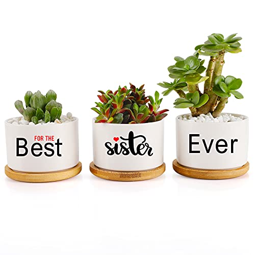 Sister Gifts from Sister Succulent Pots,Sister Gifts