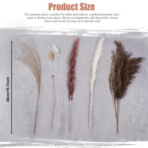 85 Stems Pampas Grass Decor - Natural Dried Pampas - 17.5 inch Boho Decor Flowers