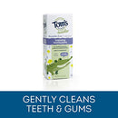 Tom's of Maine Fluoride-Free Toddler Training Toothpaste, Mild Fruit