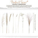 Natural Dried Pampas Grass - 85 Stems Dried Flowers Arrangements – Includes 17 Inch White Pompous Grass, Bunny Tails, Natural Reed Grass – Boho Home Decor Ideal for Wedding Decoration